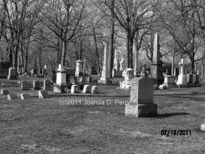 Elmwood Cemetery Scenery Shot