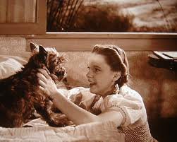 totoanddorothy