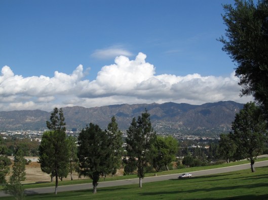 mtsinaiscenerycobbview1